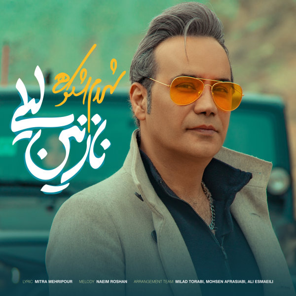 دانلود آهنگ نازنین لیلی